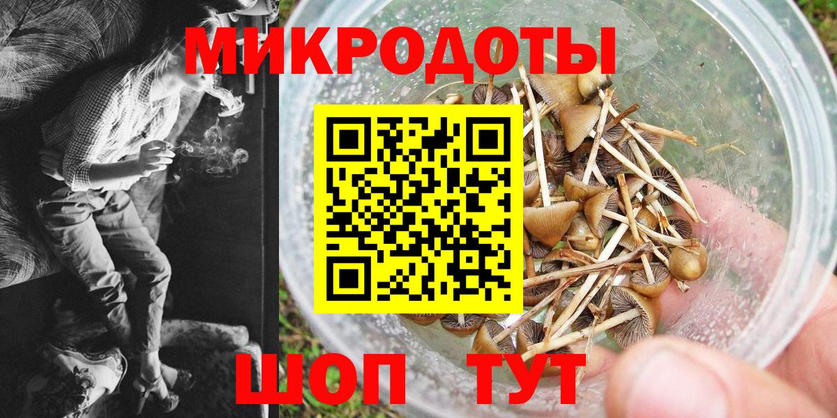 Галлюциногенные грибы GOLDEN TEACHER Грязи