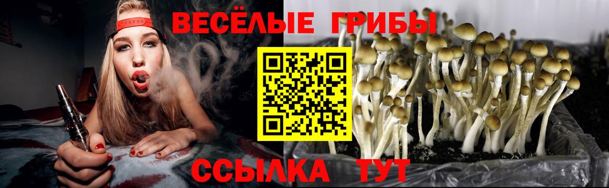 Псилоцибиновые грибы мицелий  Вход с VPN  Грязи 
